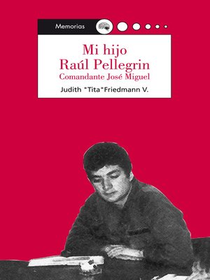 cover image of Mi hijo Raúl Pellegrin